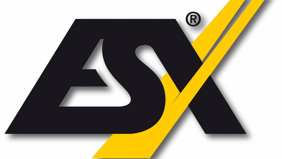 ESX Car Audio System