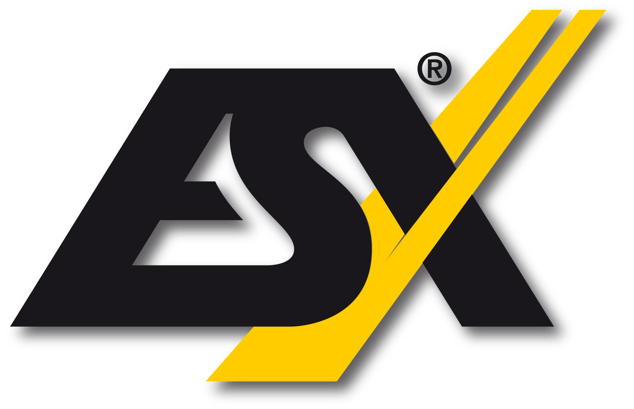 ESX Car Audio System